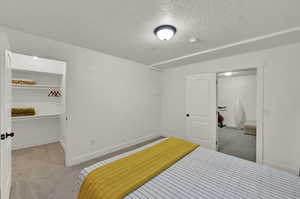 Bedroom a large closet, and light colored carpet