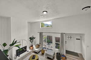 Living room featuring wood-type flooring, a vaulted ceiling, Mountain View, and a fireplace