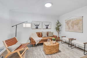 Family room in basement with wood-style flooring