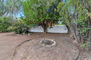 View of yard and dedicated fire place area