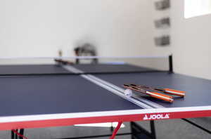 Ping-Pong table (folds up)