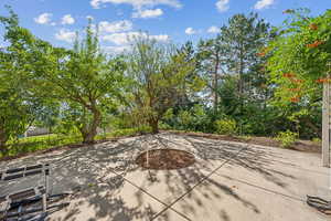 Firepit area in backyard