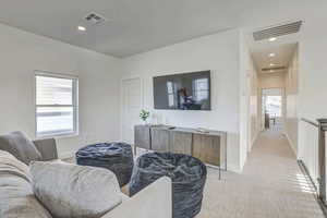 Carpeted living room featuring plenty of natural light