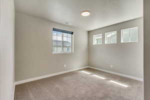 Empty room featuring plenty of natural light, a textured ceiling, and carpet flooring