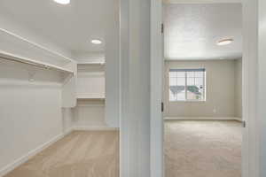 Spacious closet featuring light carpet