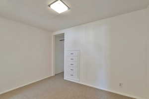 Basement Bedroom with Built-Ins