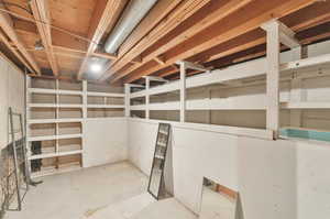 Large Basement Storage Area