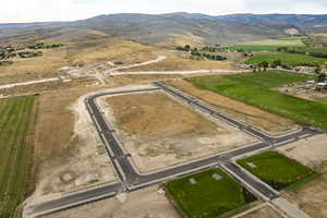 Birds eye view of property with a rural view and a mountain view