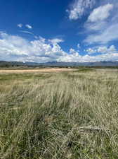 View of local wilderness with a rural view