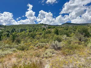 Property view of mountains