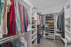 Spacious closet featuring carpet flooring