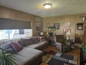 Living room featuring a textured ceiling