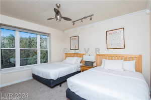 Carpeted bedroom featuring ceiling fan and rail lighting