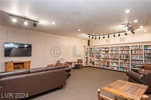 Living room featuring carpet floors, rail lighting, and a textured ceiling