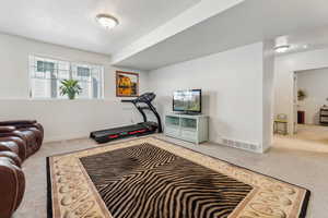 Exercise area with light colored carpet and a textured ceiling