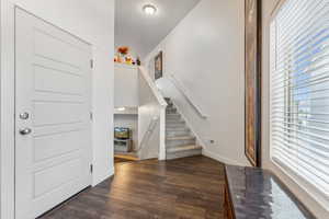 Entrance foyer featuring dark hardwood / wood-style flooring and a healthy amount of sunlight