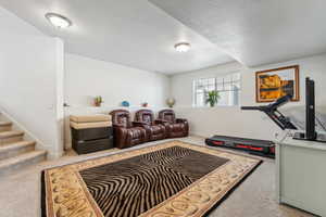 Workout room with carpet floors and a textured ceiling