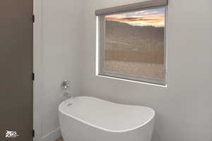 Bathroom with a bathing tub