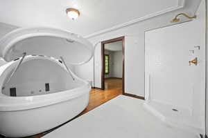 Bathroom with plus walk in shower and hardwood / wood-style flooring