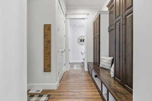 Mudroom featuring ornamental molding and wood-type flooring