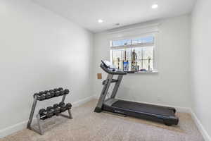 Workout room featuring carpet