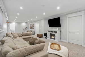 Carpeted living room with crown molding