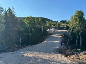 View of road