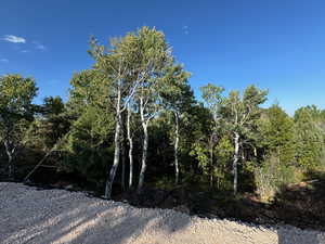 View of nature