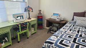 Bedroom with dark carpet