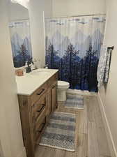 Bathroom featuring a shower with curtain, toilet, hardwood / wood-style flooring, and vanity