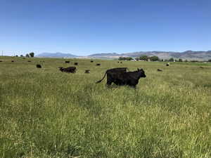 Property view of mountains featuring a rural view