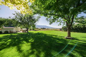 View of yard with a mountain view