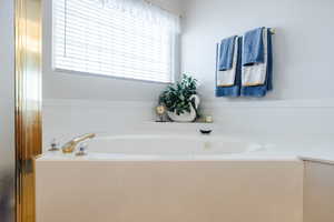 Bathroom featuring a wealth of natural light and a washtub