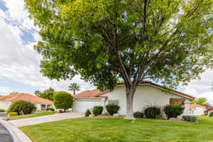 View of front of property with a garage and a front yard