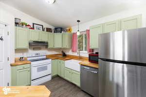 Kitchen featuring sink, wood counters, appliances with stainless steel finishes, dark hardwood / wood-style floors, and green cabinetry