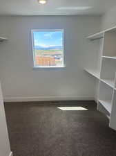 Spacious closet with carpet