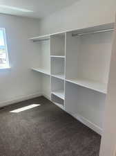 Walk in closet featuring carpet floors