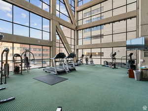 Exercise room featuring a high ceiling and carpet flooring