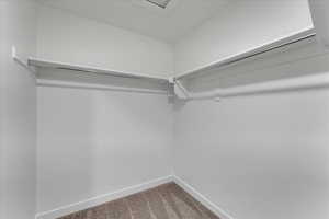 Walk in closet with carpet flooring