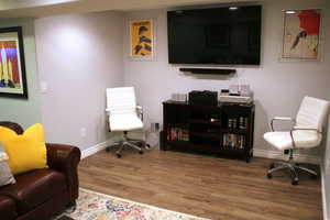 Entertainment room