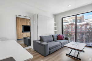 Living room with a healthy amount of sunlight and hardwood / wood-style floors