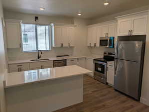 Kitchen featuring dark wood-type flooring, stainless steel appliances, white cabinetry, and sink