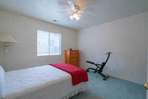 Bedroom featuring ceiling fan and carpet flooring