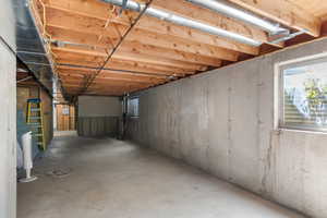 Walkout Basement Separate Entrance