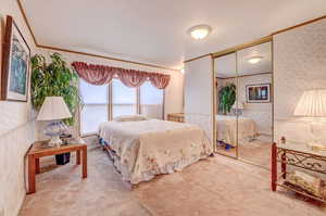 Carpeted bedroom featuring crown molding and a closet