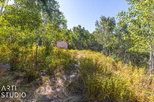 Shed on lot