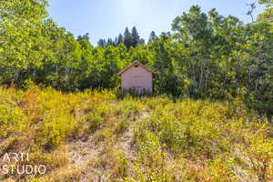 View of local wilderness