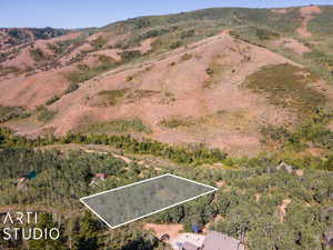 Drone / aerial view featuring a mountain view