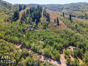 Birds eye view of property with Sunridge common area behind lot.