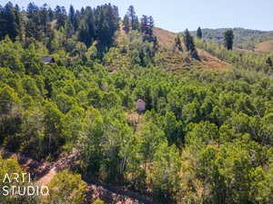 Drone / aerial view of lot and Cabin